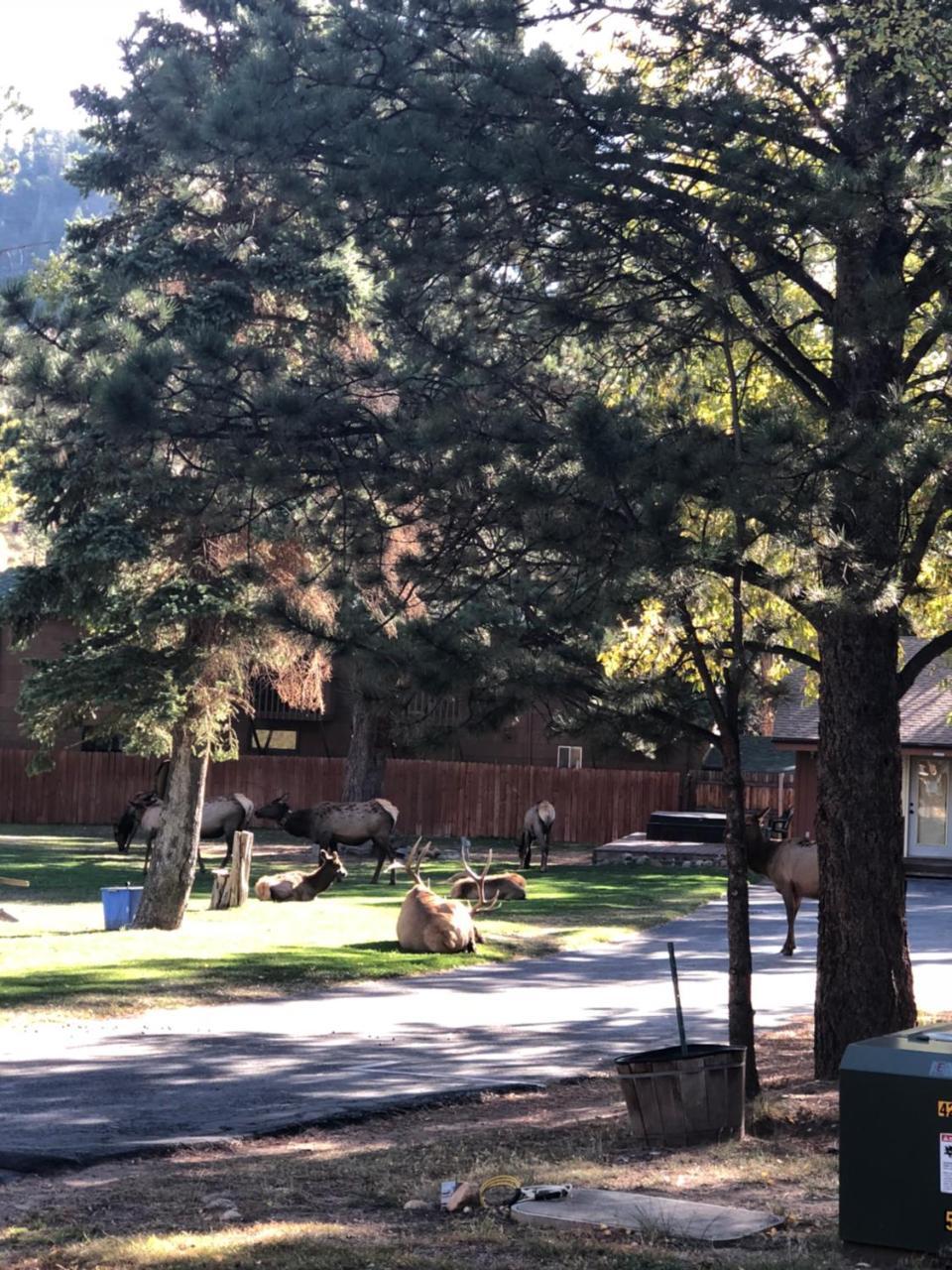 埃斯蒂斯帕克Riverview Pines别墅 外观 照片